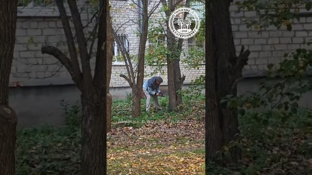 Мужик в парке Энгельса убивает деревья смотреть онлайн
