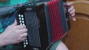 ДЕНЬ ГАРМОНИСТА Частушки на гармони КРАСНЫЙ ПАРТИЗАН как быстро научиться