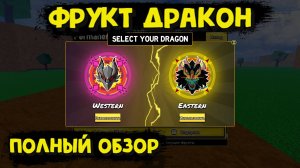 Фрукт Дракон Полный обзор Блокс Фрукт Роблокс