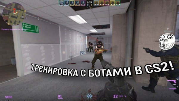 ТРЕНИРУЮСЬ С БОТАМИ В COUNTER STRIKE 2 (CS 2) НА VERTIGO!