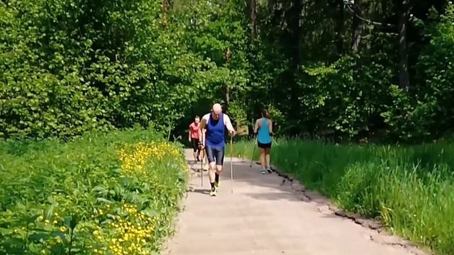 Как лыжнику тренироваться осенью для максимального результата зимой. смотреть онлайн