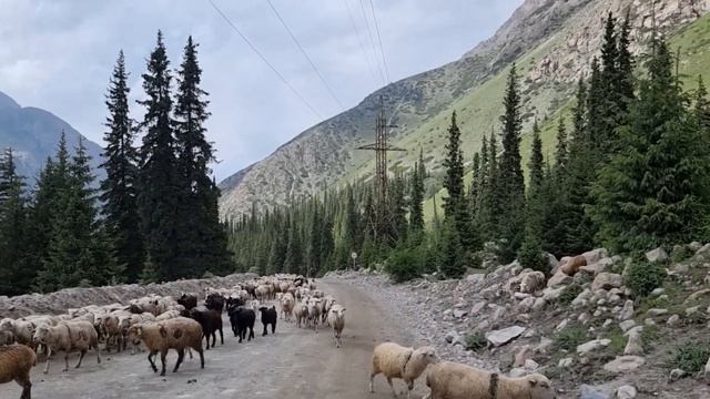 26 июня 2023 г. смотреть онлайн