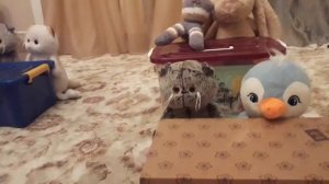 Видео про Басиков. Басики в школе