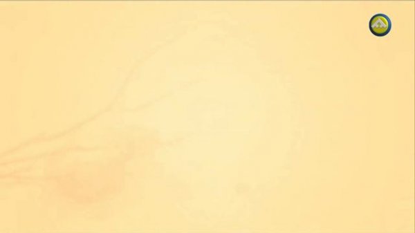 Фильм - Мангазея (2014 г.)