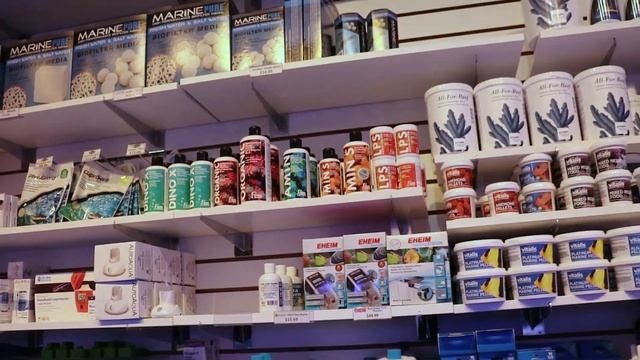 Fragbox corals is GOING to Germany :D VLOG UPDATE смотреть онлайн