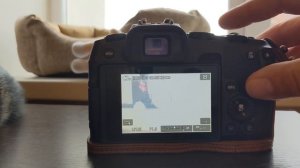 Обзор на Canon RP