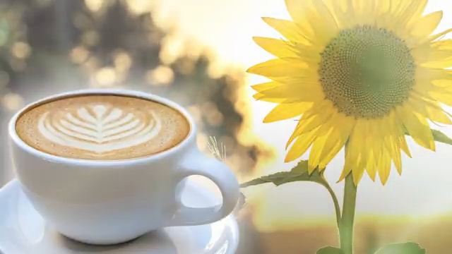 【カフェ ミュージック】ジャズ & ボサノバ メドレーでゆったりリラックスできるBGM.mp4 смотреть онлайн