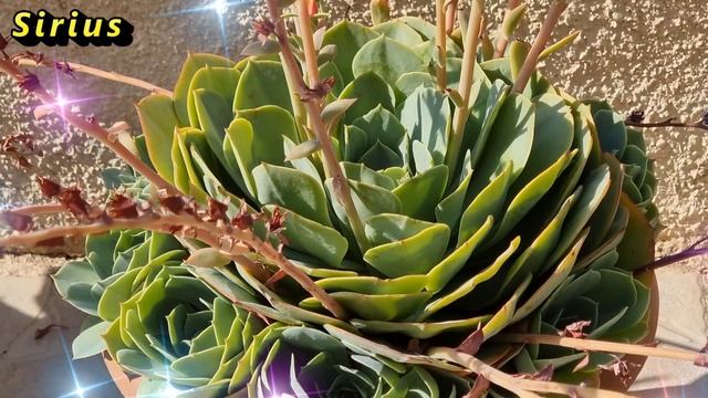 Что ждать знакам Зодиака 07 апреля 2024 смотреть онлайн