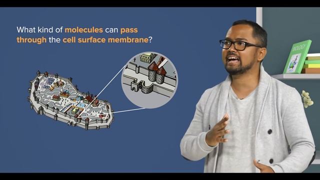 Cambridge IGCSE Biology | 2.02 Cell structure and Organisation - 2| GCSE O Level | My Second Teache смотреть онлайн