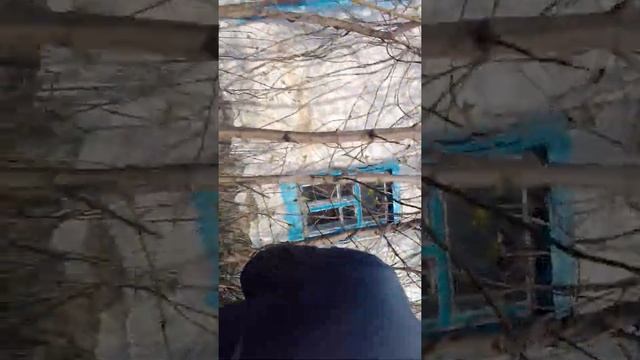 Разбил стекло и застукала бабка !?