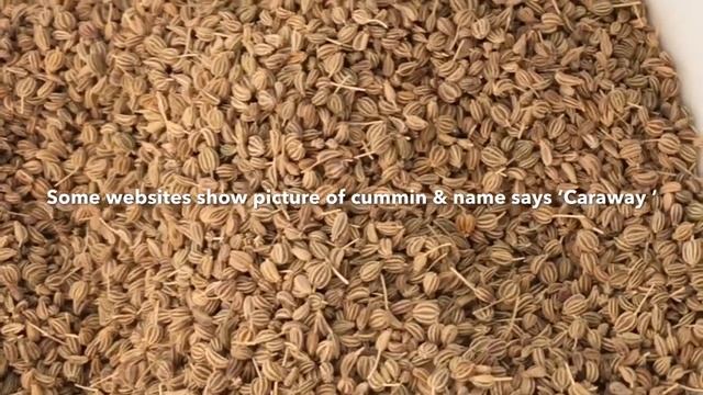 Kalonji-Kalonji is not karunjeeragam-kalonji is black seed, not Black cummin- Part 1 смотреть онлайн