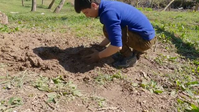 Я построил убежище по законам природы! смотреть онлайн