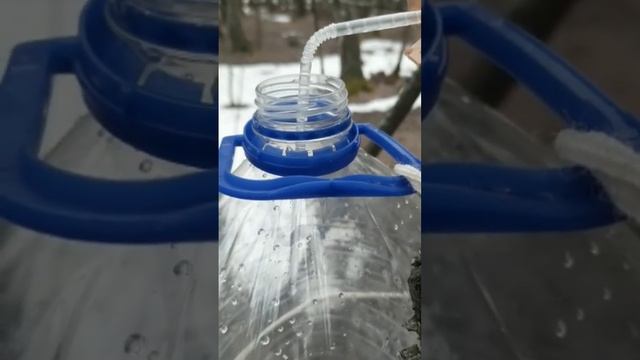 Готовим с любимыми звездами