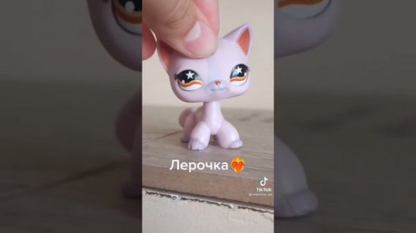 лпс из тик тока