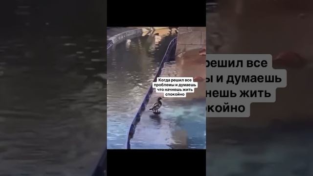 Это круто изменит твою жизнь, прочти 👇
Забери подарок в описании смотреть онлайн