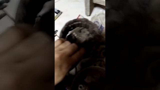 ผลิตไฟฟ้าจากคอยล์ไดชาร์จรถยนต์2 смотреть онлайн