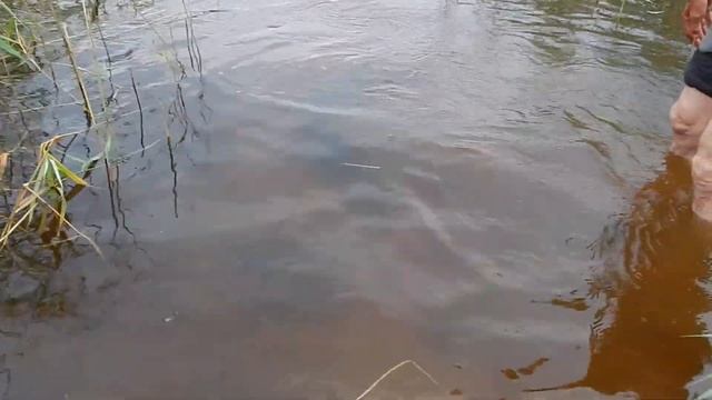 СОМ смотреть онлайн