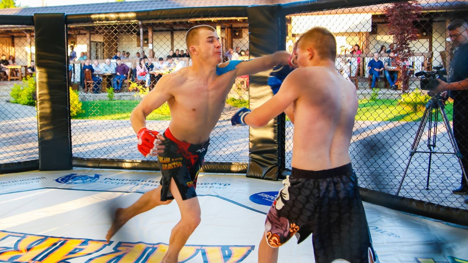 Видеообзор клетки для ММА (октагона)