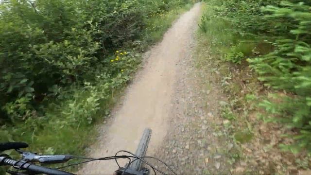 Mtb trilha intermediária de 1.5 km ( blue belle ) bike park wales смотреть онлайн