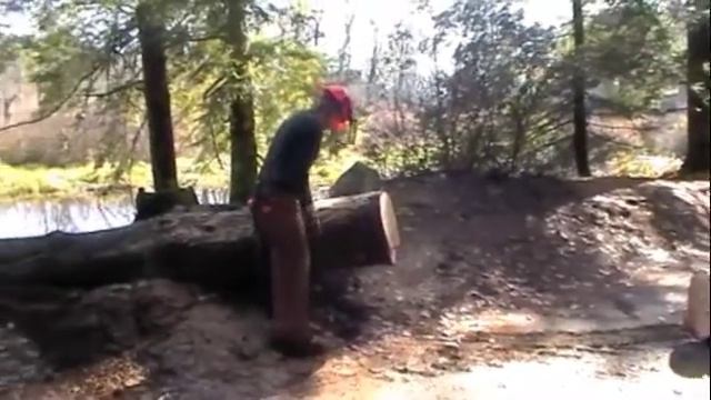 Forester's Challenge смотреть онлайн