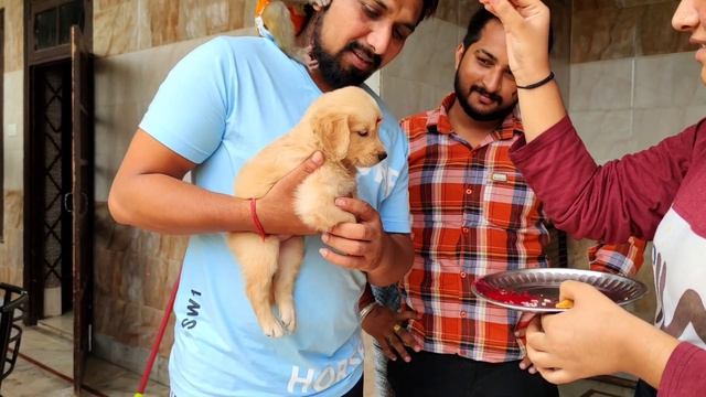Welcome 😄 new #4idiotsindia Family members | 3idiot aa chuka hai ji| 2020 new video Bajrangi смотреть онлайн