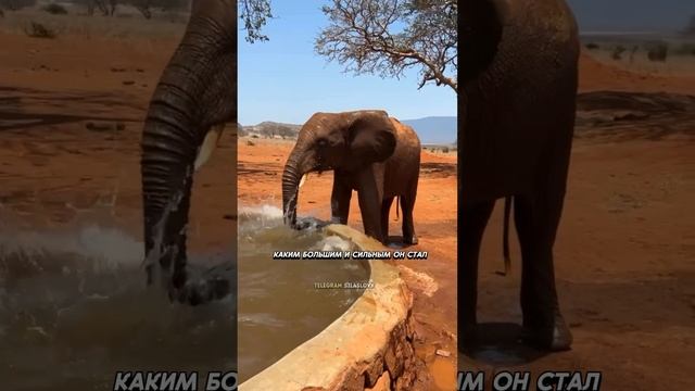 Установки мешают нам жить смотреть онлайн