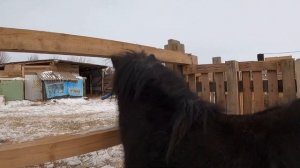 Красивая Тувинская песня.