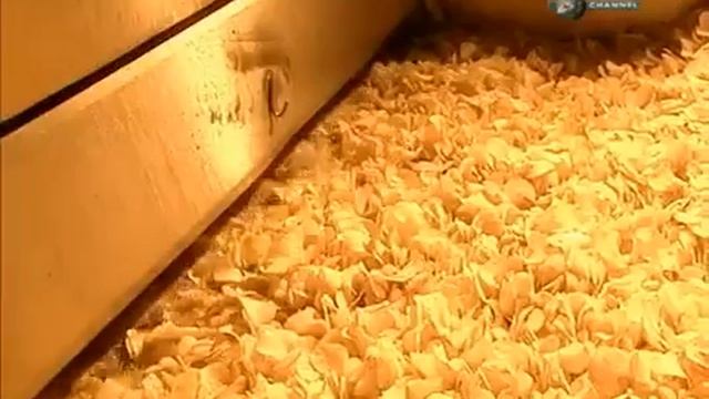 Из чего это сделано Чипсы смотреть онлайн