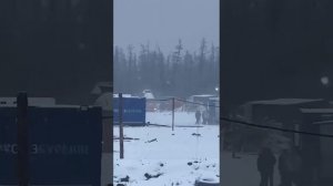 Нападение медведя на вахтовиков