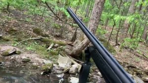 Beretta A300 Outlander