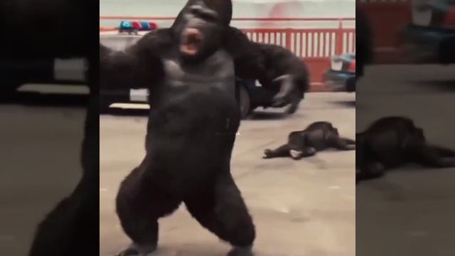 🔰Rise Of The Planet Of The Apes Movie Scene🔰#shorts смотреть онлайн