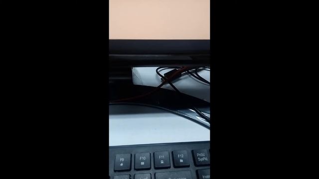 TOP CAT6 Live Stream смотреть онлайн