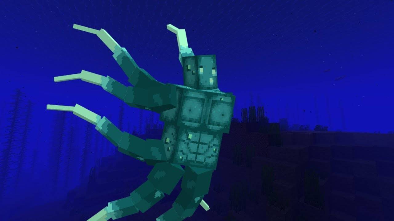 Интересные факты о спруте