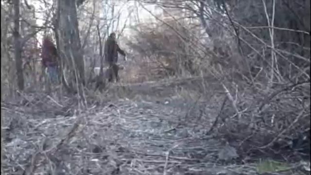 Tushinskiy maniac смотреть онлайн