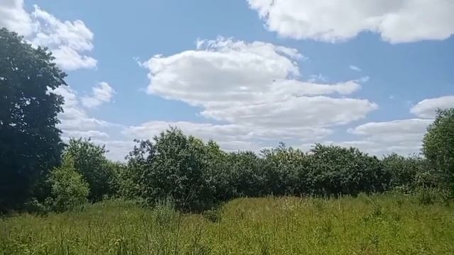 В темноте с незнакомкой/Истории из жизни смотреть онлайн