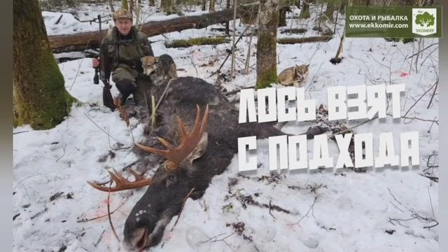 Успешная охота. +18 смотреть онлайн