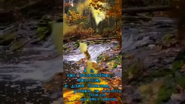 Жизнь, Христос.(1) смотреть онлайн