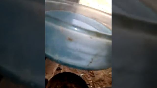 27 апреля 2021 г. смотреть онлайн