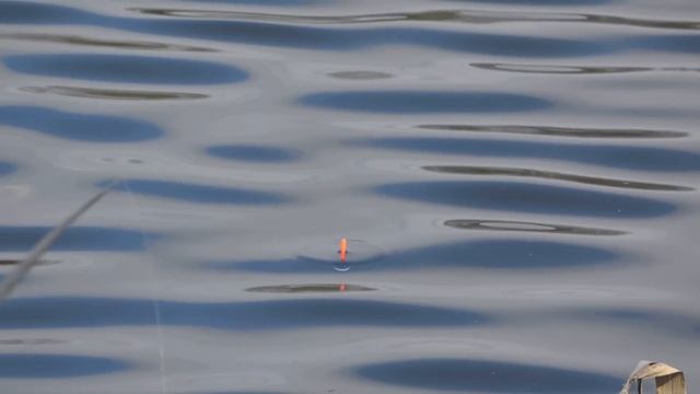 ТАК ЛОВИЛ МОЙ ДЕД... Рыбалка на ПЬЯНЫЙ ПОПЛАВОК в апреле 2024. ПОПЛАВОЧНАЯ ЛОВЛЯ КРУПНОГО ОКУНЯ смотреть онлайн