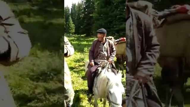 Сұмдыайрық смотреть онлайн