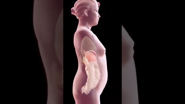 Как я сбросила вес за 3 месяца смотреть онлайн