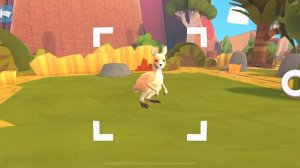 Kangaroo, Kinder Surprise Natoons App Game