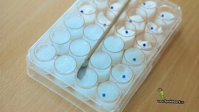 โมเมพาเพลินท้าพิสูจน์ Neutrogena Hydro Boost смотреть онлайн