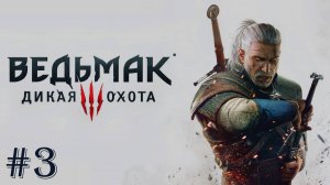 Прохождение Ведьмака 3 #3