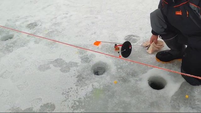 WhatsApp Video 2025-01-13 at 10.16.39 смотреть онлайн