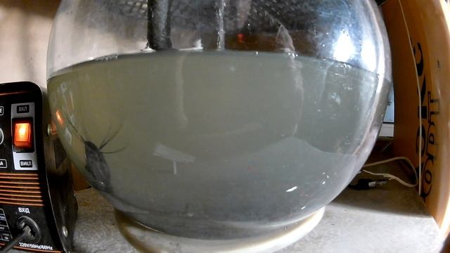 Мысли, планы на новый год.