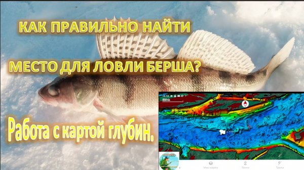 Работа с картой глубин. Как правильно найти место для ловли Берша?