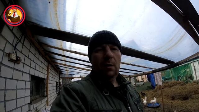 Принял эстафету и передаю 3-м каналам,смотреть всем смотреть онлайн