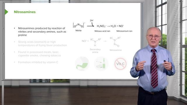 02.07 Nitrites And Nitrosamines