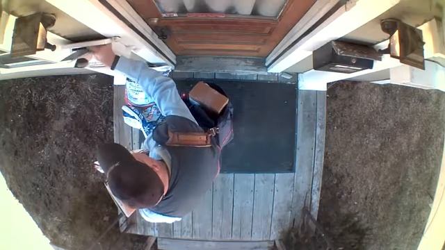 Catching the Mailman on my Blink Home Monitoring System смотреть онлайн